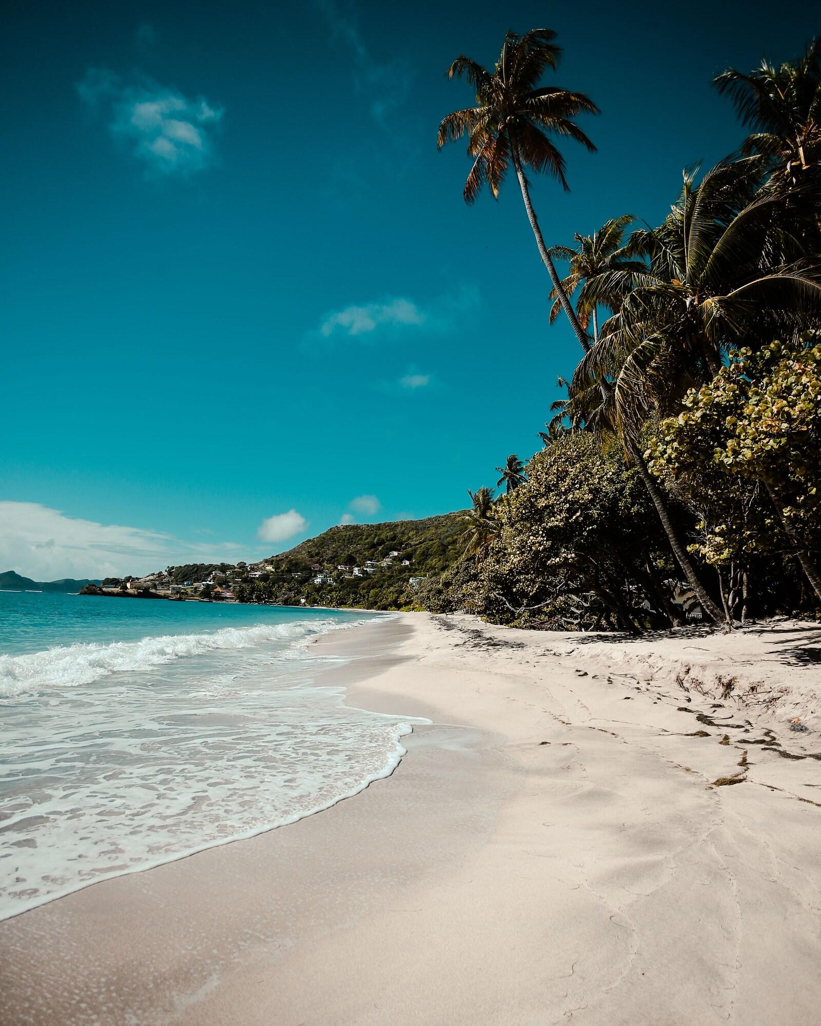 Bequia Beach Port Elizabeth Exterior photo